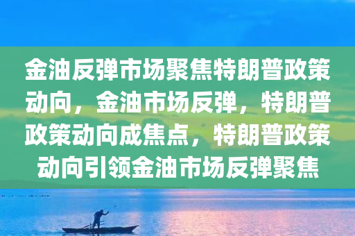 金油反弹市场聚焦特朗普政策动向，金油市场反弹，特朗普政策动向成焦点，特朗普政策动向引领金油市场反弹聚焦