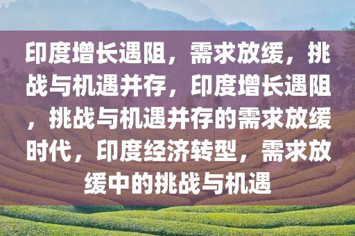 印度增长遇阻，需求放缓，挑战与机遇并存，印度增长遇阻，挑战与机遇并存的需求放缓时代，印度经济转型，需求放缓中的挑战与机遇