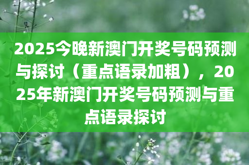 2025今晚新澳门开奖号码预测与探讨（重点语录加粗），2025年新澳门开奖号码预测与重点语录探讨
