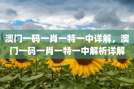澳门一码一肖一特一中详解，澳门一码一肖一特一中解析详解