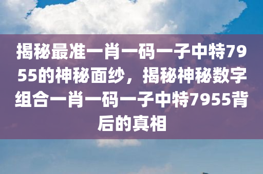 揭秘最准一肖一码一子中特7955的神秘面纱，揭秘神秘数字组合一肖一码一子中特7955背后的真相
