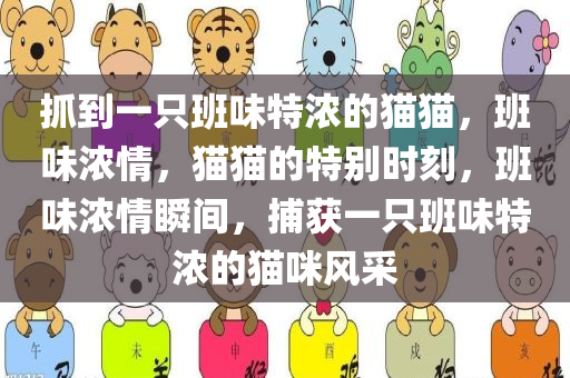 chenjiayi 第15页