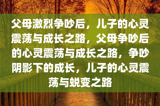 父母激烈争吵后，儿子的心灵震荡与成长之路，父母争吵后的心灵震荡与成长之路，争吵阴影下的成长，儿子的心灵震荡与蜕变之路