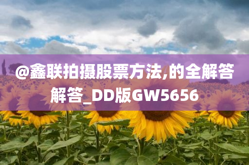 @鑫联拍摄股票方法,的全解答解答_DD版GW5656
