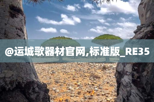 @运城歌器材官网,标准版_RE35