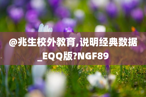 @兆生校外教育,说明经典数据_EQQ版?NGF89