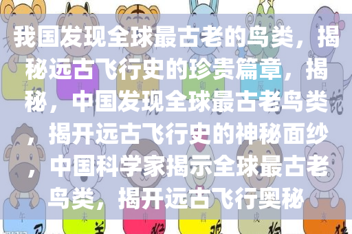xuyuhai 第13页