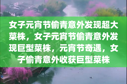 女子元宵节偷青意外发现超大菜株，女子元宵节偷青意外发现巨型菜株，元宵节奇遇，女子偷青意外收获巨型菜株