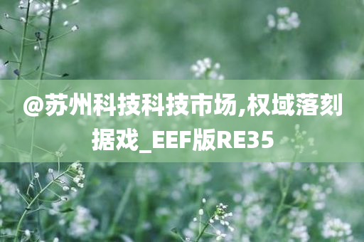@苏州科技科技市场,权域落刻据戏_EEF版RE35