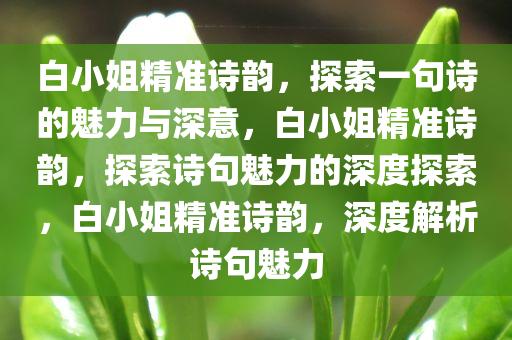 白小姐精准诗韵，探索一句诗的魅力与深意，白小姐精准诗韵，探索诗句魅力的深度探索，白小姐精准诗韵，深度解析诗句魅力