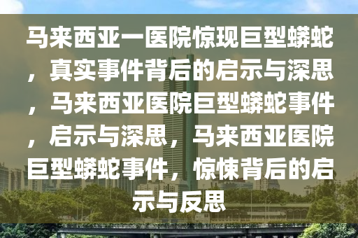 马来西亚一医院惊现巨型蟒蛇，真实事件背后的启示与深思，马来西亚医院巨型蟒蛇事件，启示与深思，马来西亚医院巨型蟒蛇事件，惊悚背后的启示与反思
