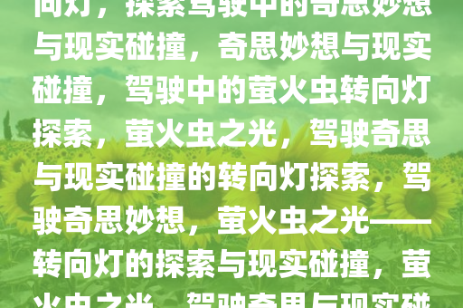 还以为司机绑了只萤火虫当转向灯，探索驾驶中的奇思妙想与现实碰撞，奇思妙想与现实碰撞，驾驶中的萤火虫转向灯探索，萤火虫之光，驾驶奇思与现实碰撞的转向灯探索，驾驶奇思妙想，萤火虫之光——转向灯的探索与现实碰撞，萤火虫之光，驾驶奇思与现实碰撞的转向灯探索