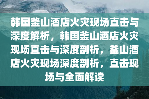 韩国釜山酒店火灾现场直击与深度解析，韩国釜山酒店火灾现场直击与深度剖析，釜山酒店火灾现场深度剖析，直击现场与全面解读