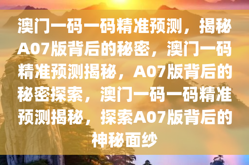 澳门一码一码100准确a07版