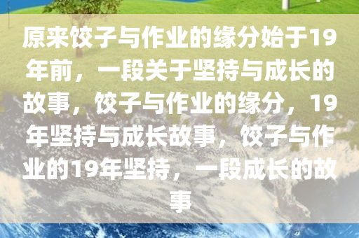 原来饺子与作业的缘分始于19年前，一段关于坚持与成长的故事，饺子与作业的缘分，19年坚持与成长故事，饺子与作业的19年坚持，一段成长的故事