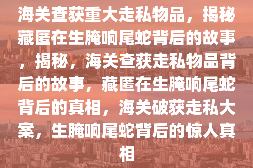 海关查获重大走私物品，揭秘藏匿在生腌响尾蛇背后的故事，揭秘，海关查获走私物品背后的故事，藏匿在生腌响尾蛇背后的真相，海关破获走私大案，生腌响尾蛇背后的惊人真相