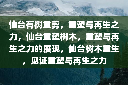 仙台有树重剪，重塑与再生之力，仙台重塑树木，重塑与再生之力的展现，仙台树木重生，见证重塑与再生之力