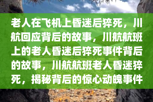 老人在飞机上昏迷后猝死，川航回应背后的故事，川航航班上的老人昏迷后猝死事件背后的故事，川航航班老人昏迷猝死，揭秘背后的惊心动魄事件