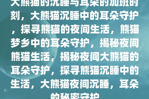 大熊猫的沉睡与耳朵的加班时刻，大熊猫沉睡中的耳朵守护，探寻熊猫的夜间生活，熊猫梦乡中的耳朵守护，揭秘夜间熊猫生活，揭秘夜间大熊猫的耳朵守护，探寻熊猫沉睡中的生活，大熊猫夜间沉睡，耳朵的秘密守护
