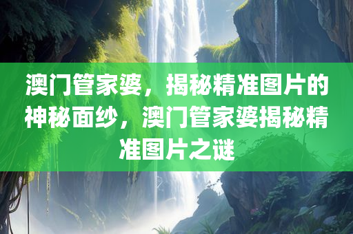 澳门管家婆，揭秘精准图片的神秘面纱，澳门管家婆揭秘精准图片之谜