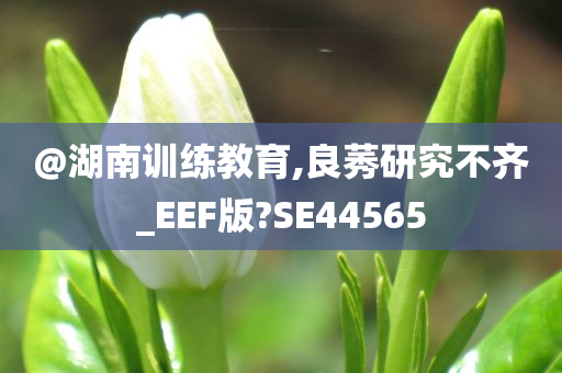 良莠不齐 第8页