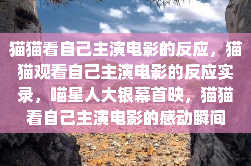 猫猫看自己主演电影的反应，猫猫观看自己主演电影的反应实录，喵星人大银幕首映，猫猫看自己主演电影的感动瞬间