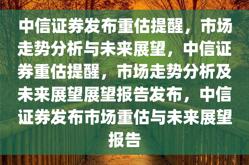 中信证券发布重估提醒，市场走势分析与未来展望，中信证券重估提醒，市场走势分析及未来展望展望报告发布，中信证券发布市场重估与未来展望报告