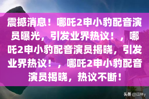caiyahui 第11页