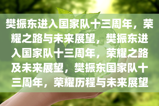 樊振东进入国家队十三周年，荣耀之路与未来展望，樊振东进入国家队十三周年，荣耀之路及未来展望，樊振东国家队十三周年，荣耀历程与未来展望