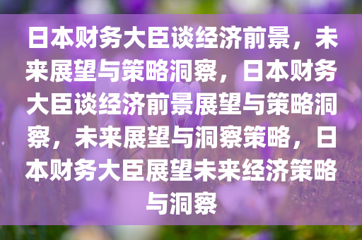 日本财务大臣谈经济前景，未来展望与策略洞察，日本财务大臣谈经济前景展望与策略洞察，未来展望与洞察策略，日本财务大臣展望未来经济策略与洞察