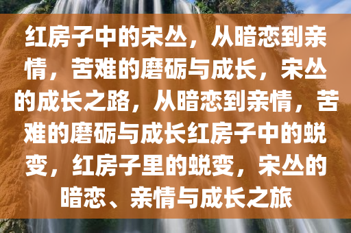 红房子中的宋丛，从暗恋到亲情，苦难的磨砺与成长，宋丛的成长之路，从暗恋到亲情，苦难的磨砺与成长红房子中的蜕变，红房子里的蜕变，宋丛的暗恋、亲情与成长之旅