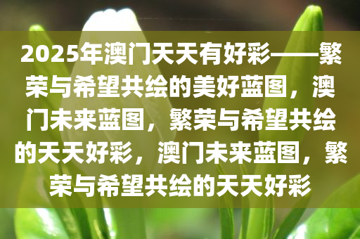2025年澳门天天有好彩——繁荣与希望共绘的美好蓝图，澳门未来蓝图，繁荣与希望共绘的天天好彩，澳门未来蓝图，繁荣与希望共绘的天天好彩