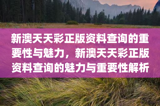 新澳天天彩正版资料查询的重要性与魅力，新澳天天彩正版资料查询的魅力与重要性解析