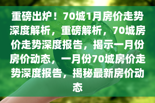 重磅出炉！70城1月房价走势深度解析，重磅解析，70城房价走势深度报告，揭示一月份房价动态，一月份70城房价走势深度报告，揭秘最新房价动态