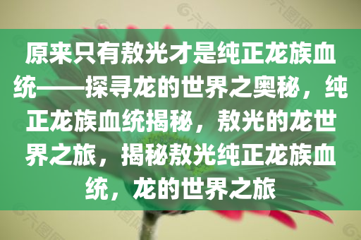 原来只有敖光才是纯正龙族血统——探寻龙的世界之奥秘，纯正龙族血统揭秘，敖光的龙世界之旅，揭秘敖光纯正龙族血统，龙的世界之旅
