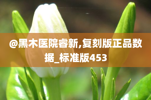 @黑木医院睿新,复刻版正品数据_标准版453