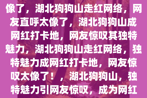 liuguanliang 第11页