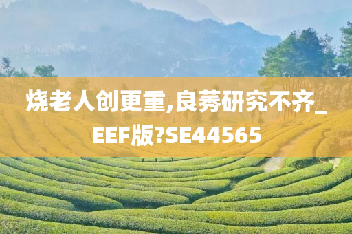 烧老人创更重,良莠研究不齐_EEF版?SE44565