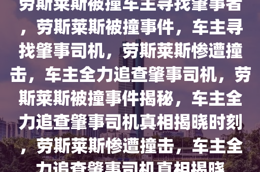 劳斯莱斯被撞车主寻找肇事者，劳斯莱斯被撞事件，车主寻找肇事司机，劳斯莱斯惨遭撞击，车主全力追查肇事司机，劳斯莱斯被撞事件揭秘，车主全力追查肇事司机真相揭晓时刻，劳斯莱斯惨遭撞击，车主全力追查肇事司机真相揭晓