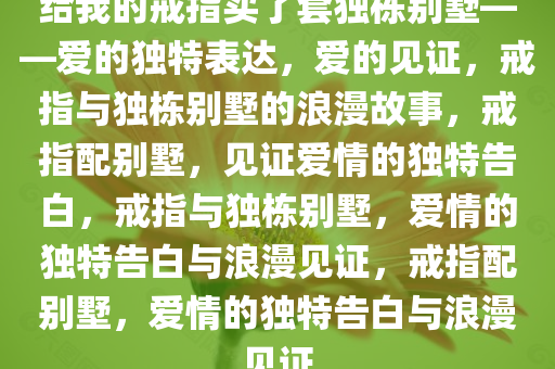给我的戒指买了套独栋别墅——爱的独特表达，爱的见证，戒指与独栋别墅的浪漫故事，戒指配别墅，见证爱情的独特告白，戒指与独栋别墅，爱情的独特告白与浪漫见证，戒指配别墅，爱情的独特告白与浪漫见证