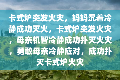 yanghuiwen 第12页