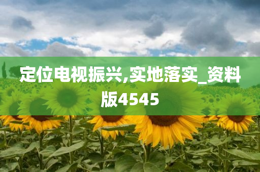 定位电视振兴,实地落实_资料版4545