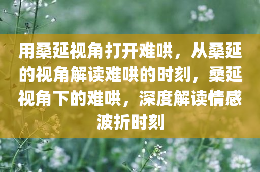 用桑延视角打开难哄，从桑延的视角解读难哄的时刻，桑延视角下的难哄，深度解读情感波折时刻