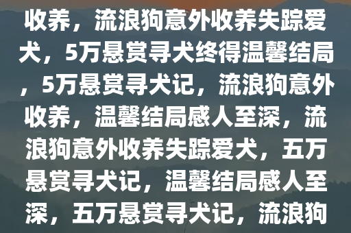 5万悬赏爱犬意外被两条流浪狗收养，流浪狗意外收养失踪爱犬，5万悬赏寻犬终得温馨结局，5万悬赏寻犬记，流浪狗意外收养，温馨结局感人至深，流浪狗意外收养失踪爱犬，五万悬赏寻犬记，温馨结局感人至深，五万悬赏寻犬记，流浪狗意外收养，温馨结局感人至深