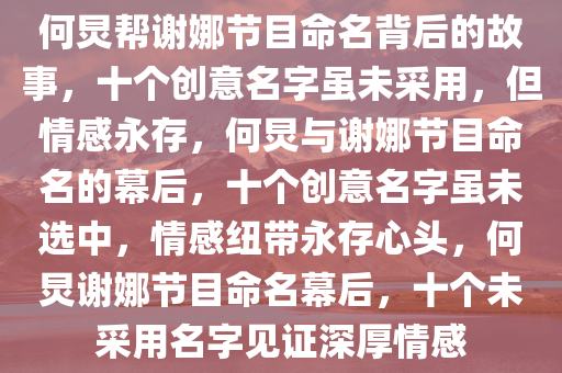 何炅帮谢娜节目命名背后的故事，十个创意名字虽未采用，但情感永存，何炅与谢娜节目命名的幕后，十个创意名字虽未选中，情感纽带永存心头，何炅谢娜节目命名幕后，十个未采用名字见证深厚情感