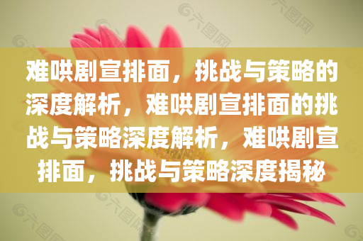 难哄剧宣排面，挑战与策略的深度解析，难哄剧宣排面的挑战与策略深度解析，难哄剧宣排面，挑战与策略深度揭秘