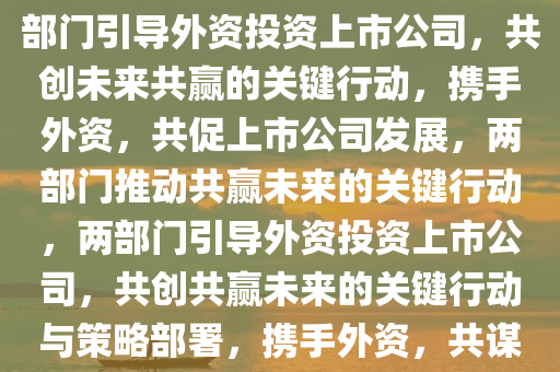 两部门引导外资投资上市公司，共创共赢未来的关键举措，两部门引导外资投资上市公司，共创未来共赢的关键行动，携手外资，共促上市公司发展，两部门推动共赢未来的关键行动，两部门引导外资投资上市公司，共创共赢未来的关键行动与策略部署，携手外资，共谋发展，两部门推动上市公司共赢未来关键行动解读