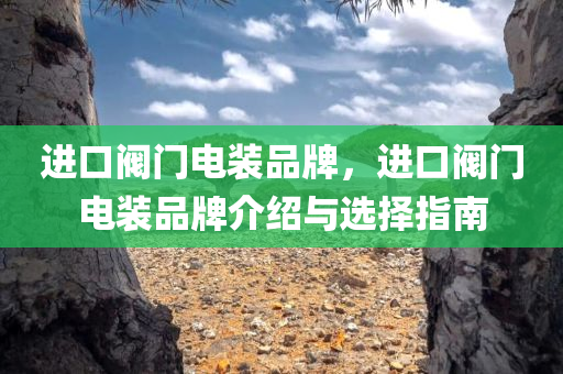 进口阀门电装品牌，进口阀门电装品牌介绍与选择指南