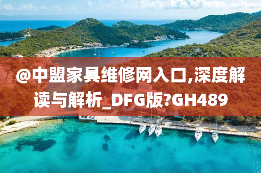 @中盟家具维修网入口,深度解读与解析_DFG版?GH489