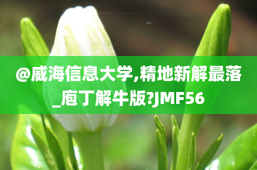 @威海信息大学,精地新解最落_庖丁解牛版?JMF56